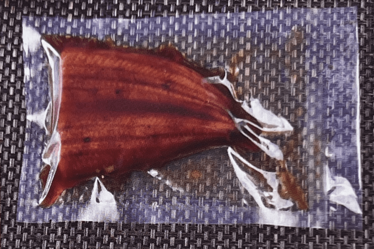 picture for tasty Grilled ell cut